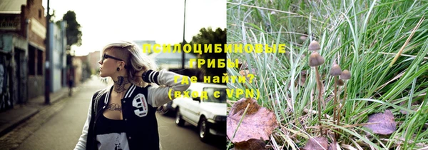 ECSTASY Богородск
