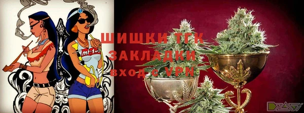 ECSTASY Богородск